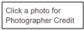 Click a photo for Photographer Credit